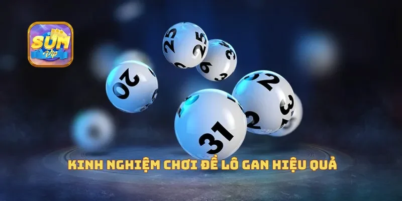  Kinh nghiệm chơi đề lô gan hiệu quả